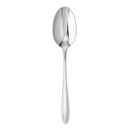 Cutlery Flatware 18/10 SS Table Spoon Dream