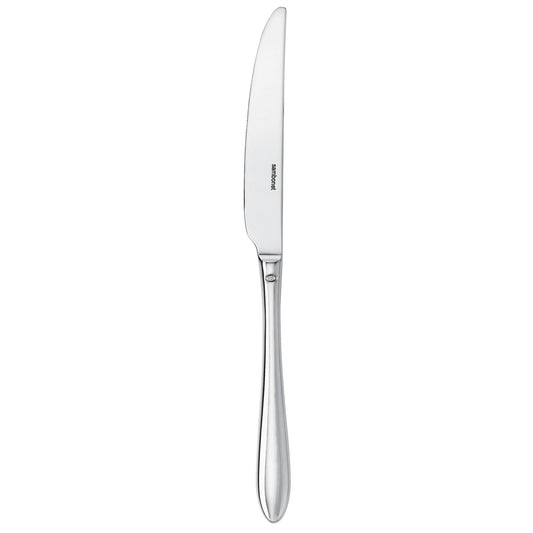 Cutlery Flatware 18/10 SS Table Knife Dream SH