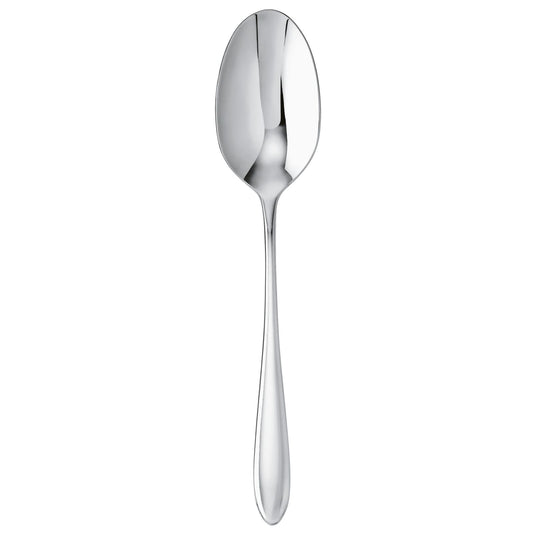 Cutlery Flatware 18/10 SS Serving Spoon Dream