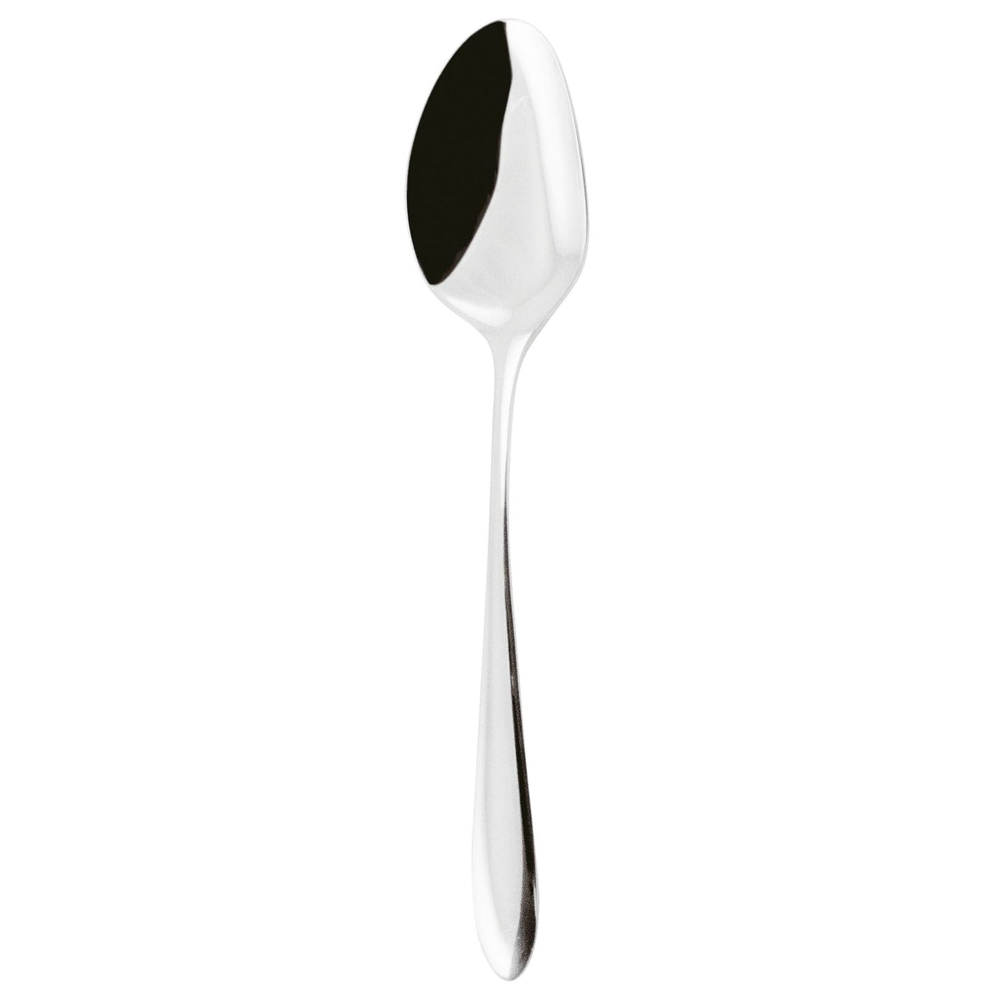 Cutlery Flatware 18/10 SS French Sauce Dream