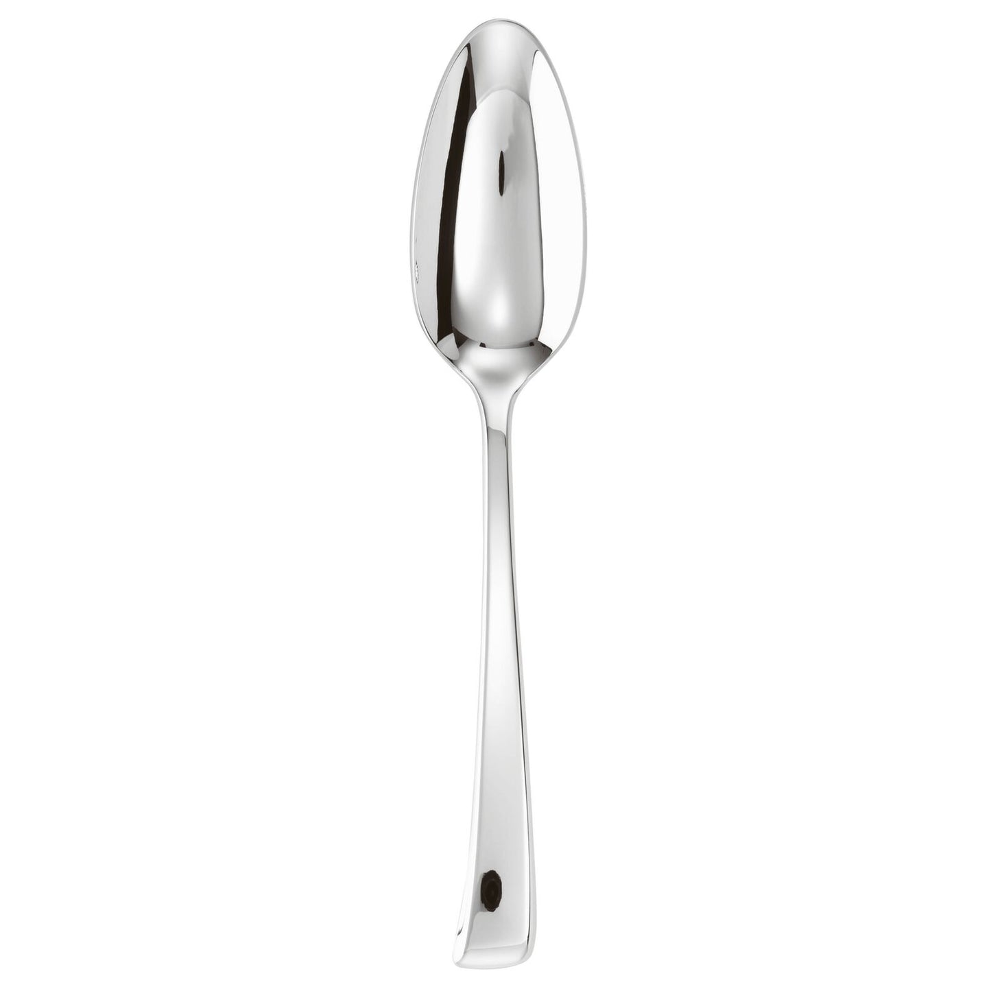 Cutlery Flatware 18/10 SS Serving Spoon Imagine