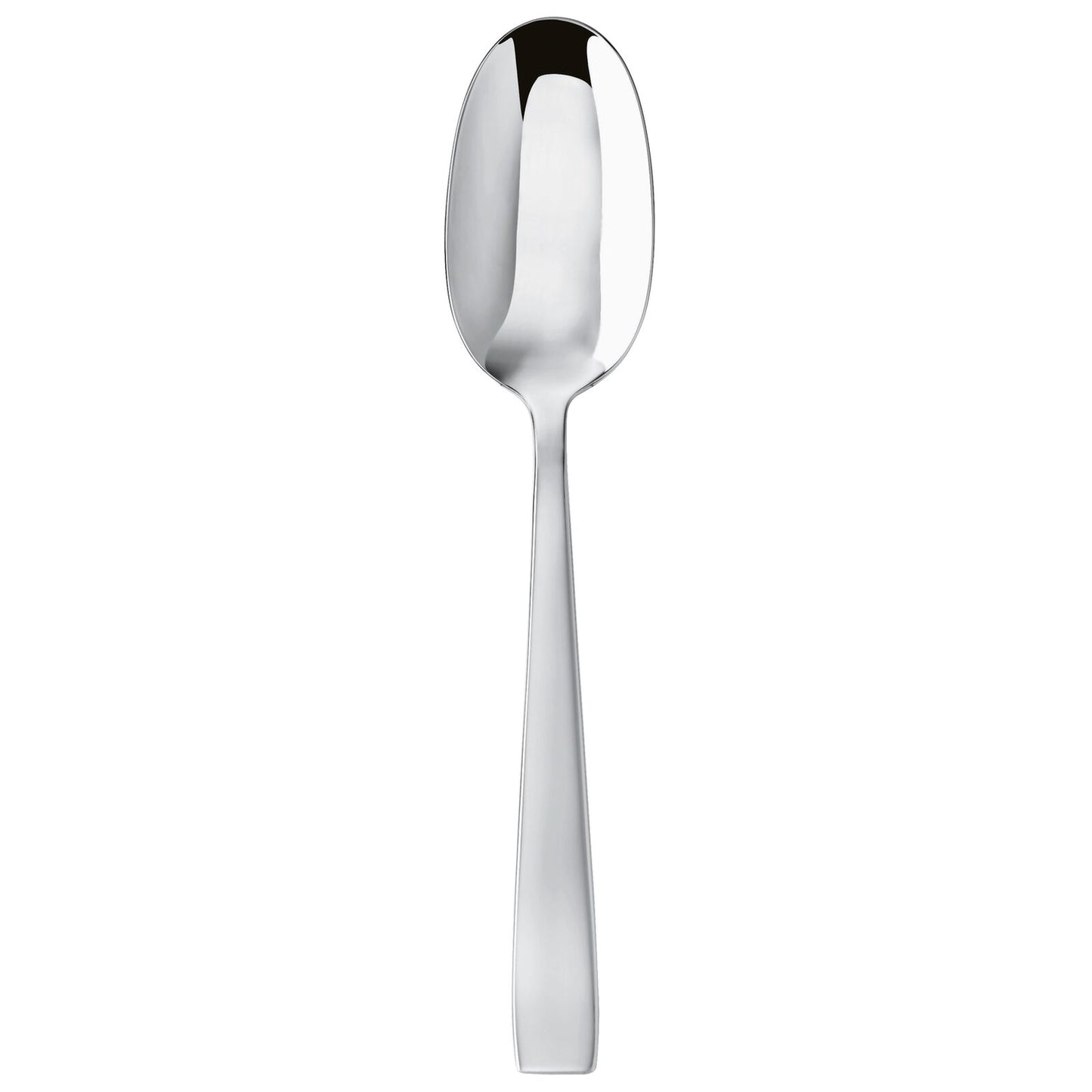 Cutlery Flatware 18/10 SS Serving Spoon Flat