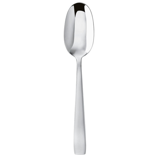 Cutlery Flatware 18/10 SS Serving Spoon Flat